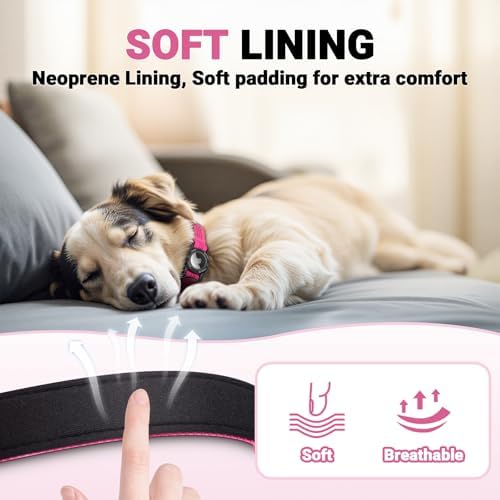 AirTag Dog Collar and Leash, IP68 Waterproof Integrated