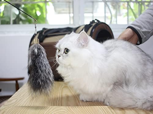 Fosrion Real Raccoon Tail Fur Cat Bites Toy with Three Section Retractable Carbon Fiber Rod (Raccoon) (Fox Fur Piece, Only Tail)