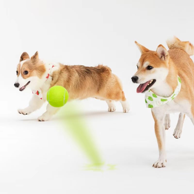 3-Pack Tennis Ball Dog Toys with Squeaker, Interactive Fetch Play for Pets 40 lbs and Over ，Training Balls for Indoor & Outdoor Exercise, 3.28-inch (Yellow, 18PCS)