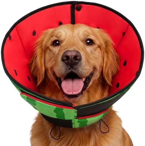 Queenmore Soft Cone for Dogs, Dog Cones for Large Dogs to Stop Licking, Dog Soft Cone, Elizabethan Collar for Pets, Alternative Pet Recovery Collar for Wound Healing, Watermelon L