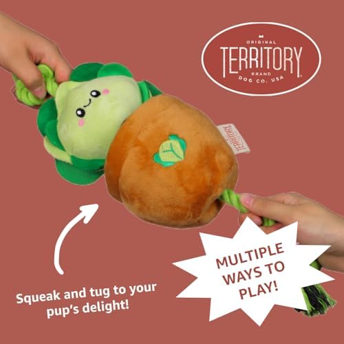 Territory Interactive Play Plush Treat-and-Tug Reward Toy for Dogs, Lettuce