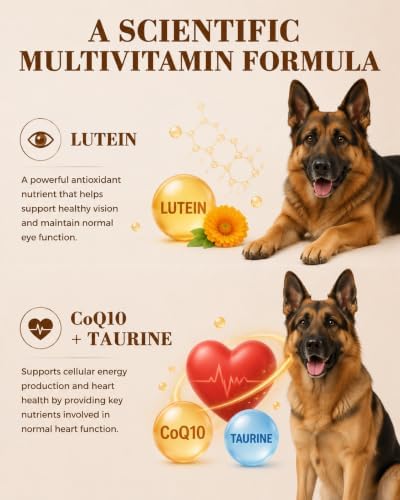 Dog Multivitamin Soft Chews: 5-in-1 Formula with CoQ10, Omega-3 and Lutein