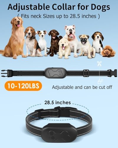 Dog Shock Collar with Remote Control, Waterproof Dog Training Collar, Blk