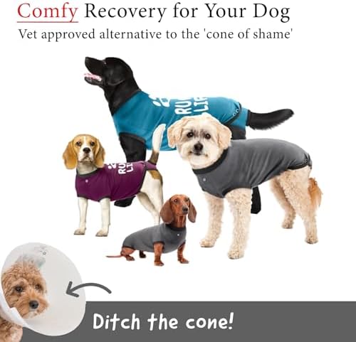 BellyGuard Dog Surgery Recovery Suit, Male Female After Spay Neuter Onesie