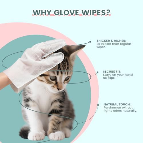 IMMHABI 100-Count Pet Glove Wipes + 400-Ct Square Wipes Bundle | Odor Control & Thick Cleaning | Paws/Ears + Fur/Surfaces