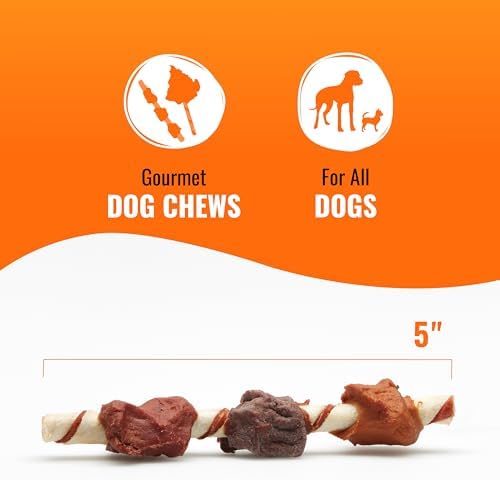 Good N Fun Kabobs Long-Lasting Dog Treat with Protein, 48 oz (2 Pack)