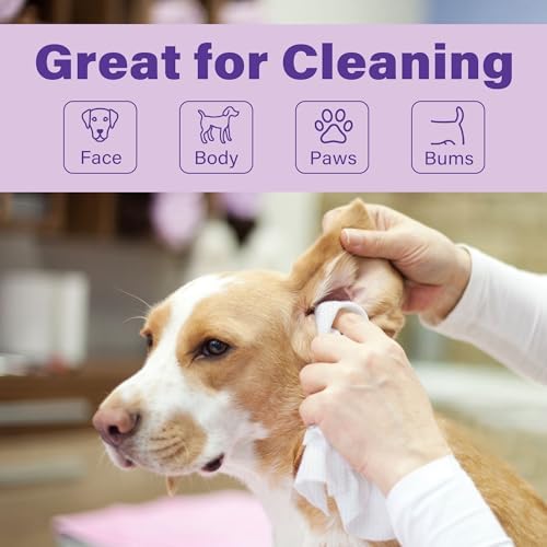 PrimePets Dog Wipes for Paws and Butt, 100 Count, Pet Wipes for Dogs Cats