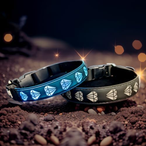 Personalized Dog Collar Waterproof airtag Dog tag Holder,USB C Light up Night Black Dog Collar (Black, M(11.8-15.7"))