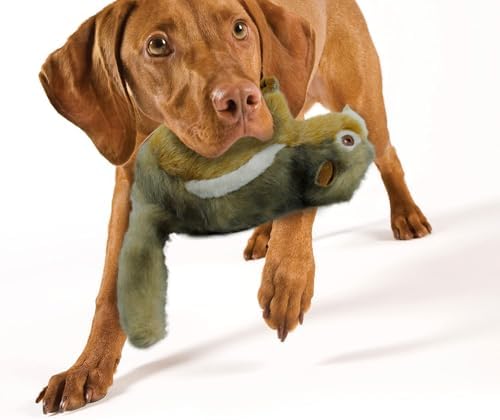 ALL FOR PAWS Dog Squeaky Toys Stuffed Animal Chipmunk Pet Plush Toys Squeak Chew Toy for Dogs Large