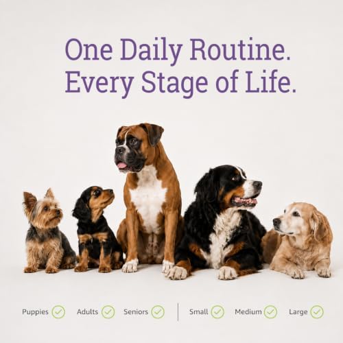 Dog Multivitamin Chewable - 22 in 1 Dog Vitamins and Supplements with Green Lipped Mussel & Omega 3 for Joints, Skin & Coat, Immune System - Senior & Puppy Multivitamin for Dogs - 60 Beef Chews