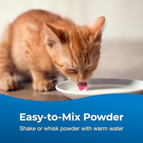 PetAg KMR Healthy Development - 14 oz, Pack of 4 - Great Tasting Nutritional Supplement for Cats and Weaning Kittens