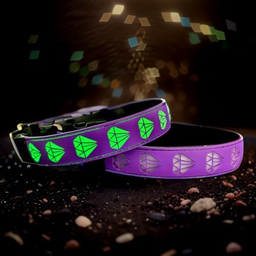Personalized Dog Collar Waterproof airtag Dog tag Holder,USB C Light up Night Black Dog Collar (Purple, S(7.87-11.8"))