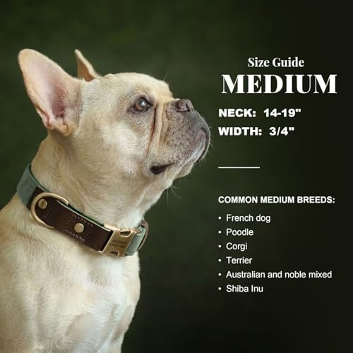 Personalized PU Leather Dog Collars,Quick Release Buckle,Green,M