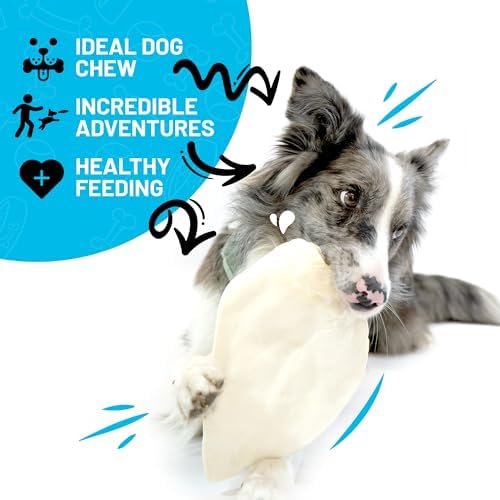 Sitka Farms Whole Cow Ears for Dogs, Beef Dog Chews and Treats, 12 Count