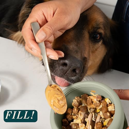 Should We Go? Interactive Dog Enrichment Toy with Freezer Plug, BPA-Free Silicone Puzzle Dog Freeze Bowl & Treat Dispenser for Mental Stimulation, Ideal for Kibble & Frozen Licks, Fits 3 oz, Small