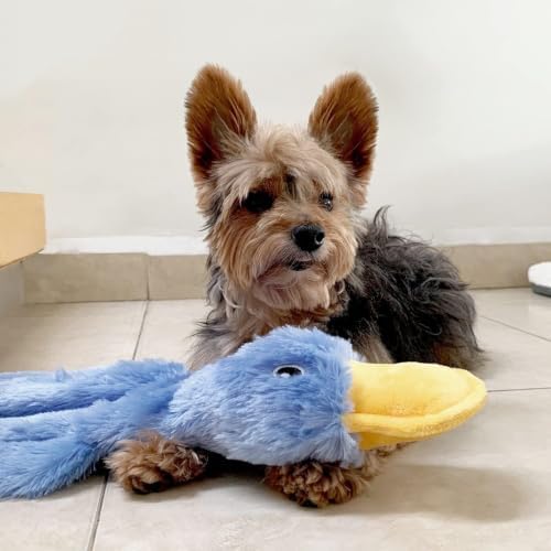 Squeaky Duck Dog Toy, No Stuffing Crinkle Plush Dog Toys for Small Medium Large Dogs, Interactive Durable Chew Toy for Puppies, (Crinkle Duck (Blue))