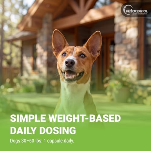 Vetoquinol Triglyceride Omega - Fish Oil for Dogs & Cats - Supports Healthy Skin, Coat & Normal Immune Response - Supplement with Vitamin Blend for Heart, Eye, Bone & Muscle Support - 250 Capsules