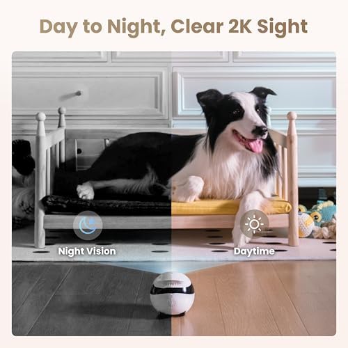 Enabot EBO Air 2 Mobile Pet Camera Robot: 2K FamilyBot with Two-Way Talk