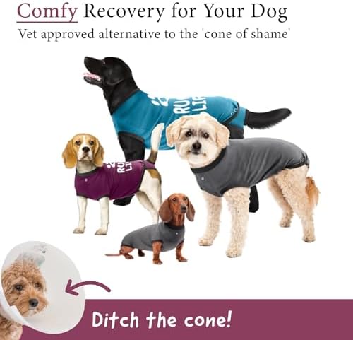 BellyGuard Dog Surgery Recovery Suit, Male Female After Spay Neuter Onesie