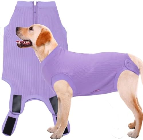 Recovery Suit for Female Dogs, Dog Cone Alternative After Spay