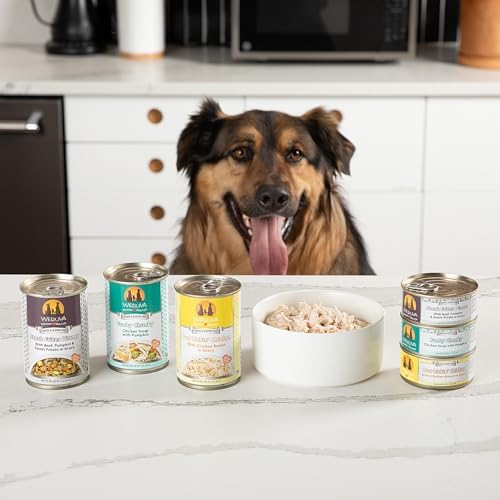 Weruva Classic Dog Food, Let's Give Em' Pumpkin to Talk About Variety Pack, 5.5oz Can (Pack of 12)