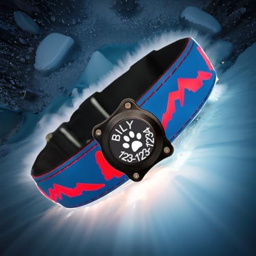 Personalized Light up Dog Collars Rechargeable with Waterproof airtag Holder for Black Dog Night Walking (Blue Collar 15 Modes Lighting, L(15.7-19.7"))