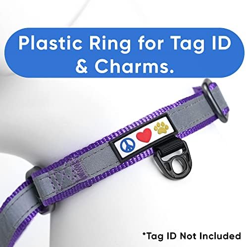 Pawtitas Personalized Dog Collar Martingale Dog Collar with Name Phone Number Reflective Martingale Dog Collar Customized Collar for Large Dogs | Purple Custom Dog Collars for Large Dogs