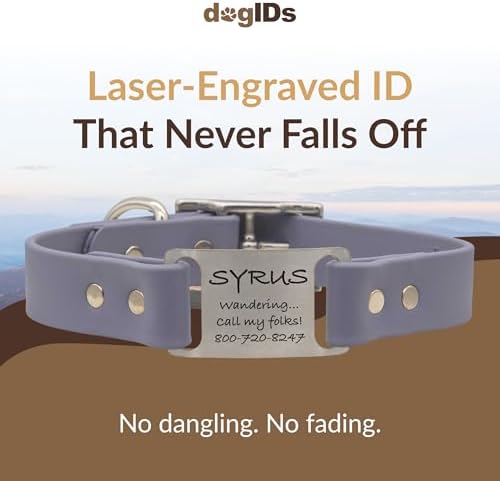 dogIDs Personalized Dog Collar – ScruffTag Custom Waterproof Biothane Dog Collar with Laser-Engraved Name, Durable & Odor-Resistant – USA Made | Grey, 1 in x 18 in (Fits Neck Sizes 16-20 in)