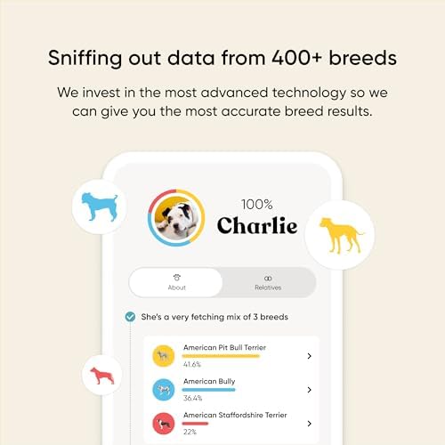 Embark Breed & Health Dog DNA Test – 400+ Breeds, 270+ Health Risks