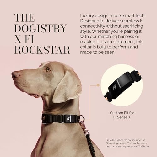 DOGISTRY - The Fi Rockstar Collar - GPS Dog Collar Band - Small