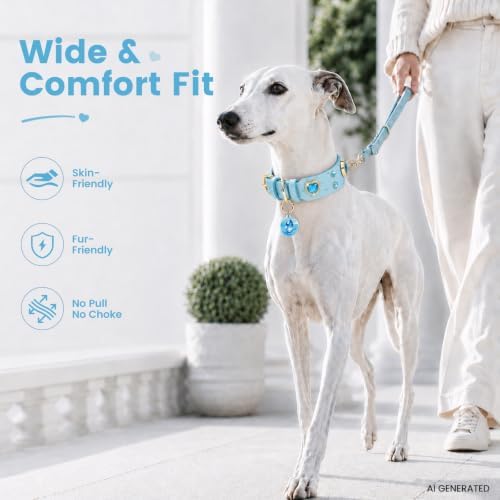 Rhinestone Dog Collar with QR ID Tag, Ostrich-Embossed, Blue, S | Crystal Dog Collar with Ostrich-Embossed Texture, Adjustable Waterproof Fit and QR Scan Pet ID for Stylish Daily Wear
