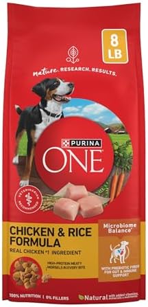 Purina ONE Chicken & Rice Formula Dry Dog Food, 8 lb Bag