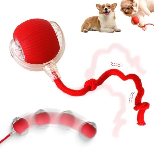 Interactive Rolling Dog Ball, 2027 New Self-Rolling Dog Toy and Interactive Cat Toy, Automatic Moving Pet Ball, 360° Intelligent Automatic Rolling Ball Toy, Electric Dog Ball/Cat Toy (Red)
