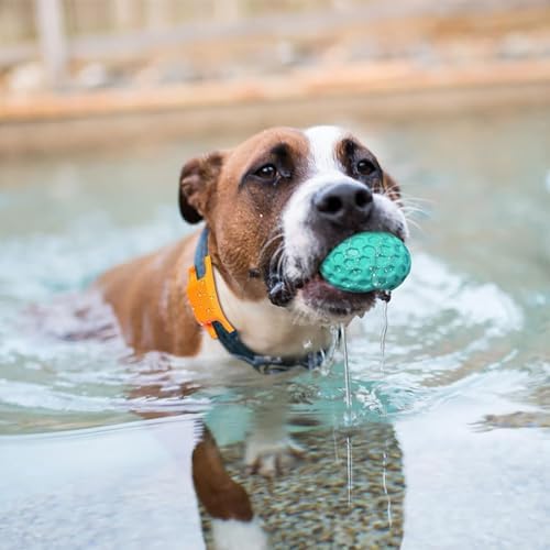 Squeaky Dog Balls, Indestructible Dog Toys for Aggressive Chewers Large/Medium Breed, Natural Rubber Interactive Chew Toys for Teeth Clean, Relieves Anxiety (Light Blue)