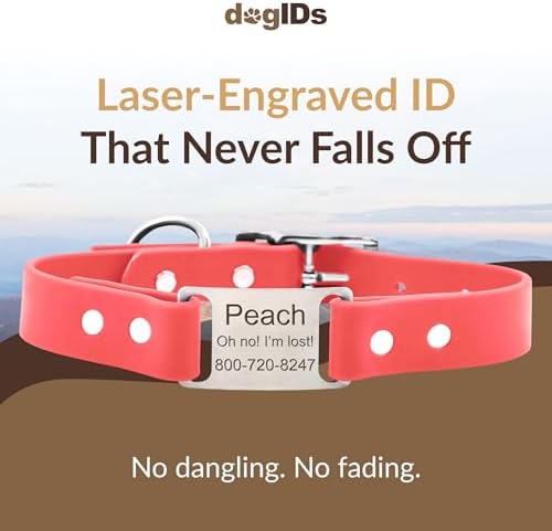 dogIDs Personalized Dog Collar – ScruffTag Custom Waterproof Biothane Dog Collar with Laser-Engraved Name, Durable & Odor-Resistant – USA Made | Coral, 3/4 in x 14 in (Fits Neck Sizes 12-16 in)