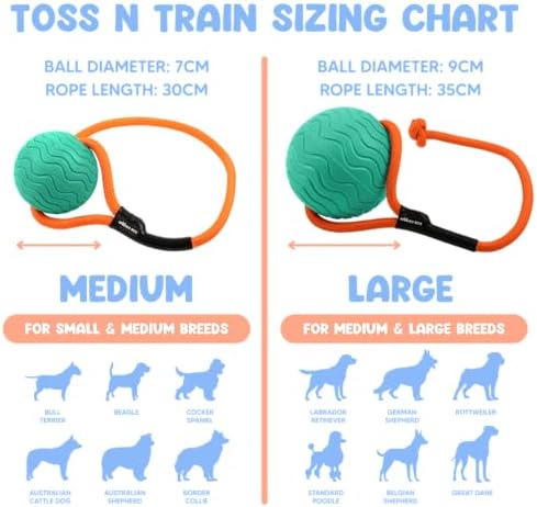 Dog Ball Toy with Rope, Durable EVA Foam Floating Dog Toy, Interactive Fetch & Toss n’ Train Tug Ball for Dogs, Bouncy Pet Ball for Outdoor Indoor Play - Green, Medium