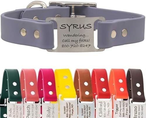 dogIDs Personalized Dog Collar – ScruffTag Custom Waterproof Biothane Dog Collar with Laser-Engraved Name, Durable & Odor-Resistant – USA Made | Grey, 1 in x 18 in (Fits Neck Sizes 16-20 in)