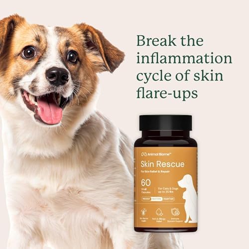 Animal Biome Skin Rescue LG Dog & Cat Probiotic Itch & Allergy Relief 60ct