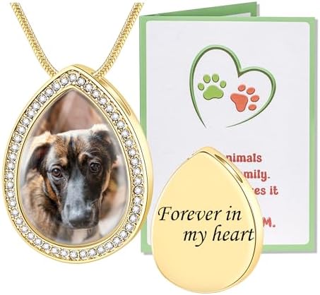 Fanery Sue Pet Ashes Necklace for Dog Cat, Custom Photo & Text