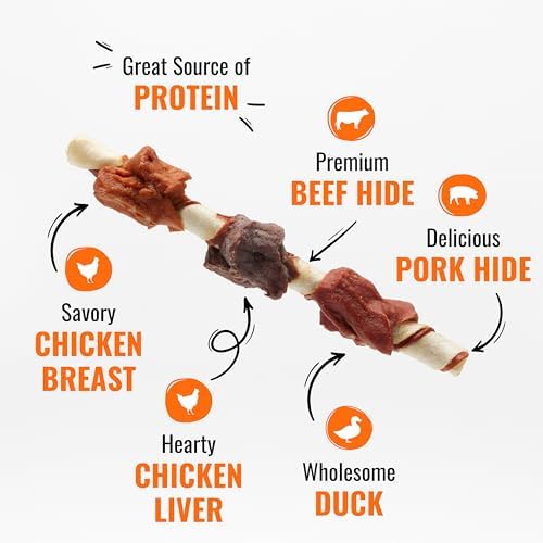 Good N Fun Kabobs Long-Lasting Dog Treat with Protein, 48 oz (2 Pack)