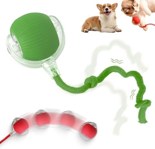 Interactive Rolling Dog Ball, 2027 New Self-Rolling Dog and Cat Toy, Automatic Interactive Pet Ball with 360° Rolling Motion, Electric Toy for Dogs and Cats (Green)