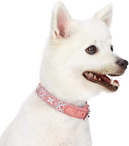 Blueberry Pet 3 Patterns Southwestern Modern Tribal Print Genuine Leather & Polyester Fabric Combo Dog Collar with Metal Buckle - Thistle Braided, Small, Neck 12"-15"