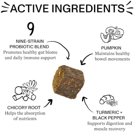 Spot & Tango Probiotics Supplements for Dogs - Vet-Approved for Healthy Digestion and Balanced Gut - Pumpkin, Turmeric, Chicory Root, Black Pepper, Nine-Strain Probiotic Blend, 56 Count