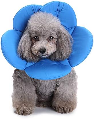 Elizabethan Collar, Soft & Waterproof Grooming & Recovery Collar for Puppy & Small Medium Dogs (L Neck:13-15in, Blue)