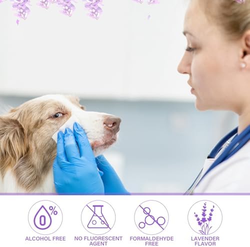 Treela 10 Pack Dog Pet Wipes, 80 Count Paws Body, Lavender