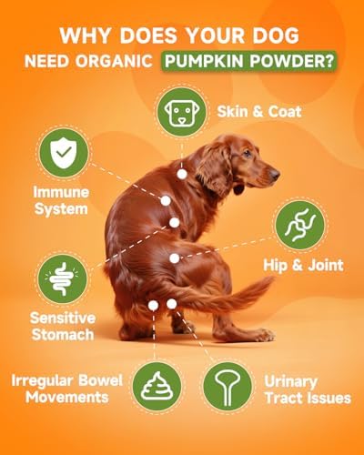 Cat Lysine Drops & Dog Pumpkin Powder