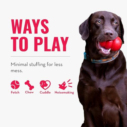 KONG Wild Knots Tiger Dog Toy (Medium/Large) Durable Internal Knotted Rope, Minimal Stuffing for Less Mess – Soft Plush Chew Toy for Dogs