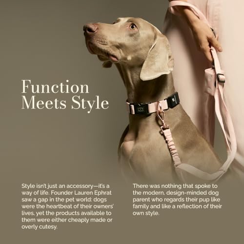 DOGISTRY - Fi Sweetheart Collar - GPS Dog Collar Band - XL