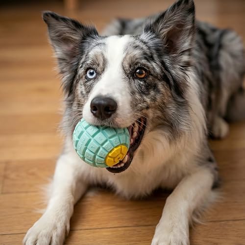 Squeaky Dog Toy Ball, Keyboard-Shaped Chew Toy for Teeth Cleaning, Durable Natural Rubber for Aggressive Chewers, Interactive Dog Toys for Medium & Large Dogs (Vibrant Orange, Large(3.5''))