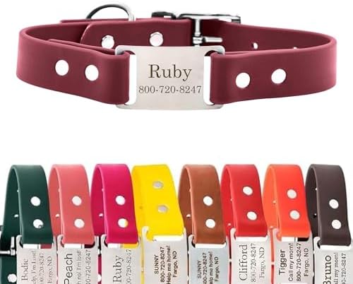 dogIDs Personalized Dog Collar – ScruffTag Custom Waterproof Biothane Dog Collar with Laser-Engraved Name, Durable & Odor-Resistant – USA Made | Wine, 1 in x 20 in (Fits Neck Sizes 18-22 in)
